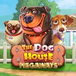 The Dog House Megaways game at Boho Casino for Australia players