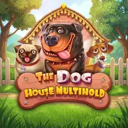 The Dog House Multihold game at Boho Casino for Australia players